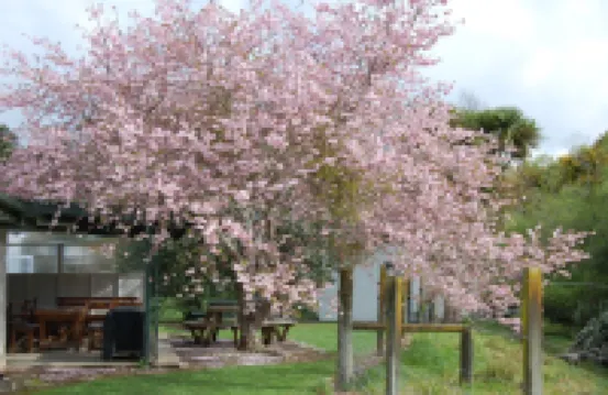 Egmont Eco Leisure Park & Backpackers Hotels in 