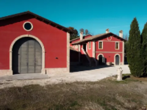 Cantina d'Erasmo - Camere e Degustazioni Hotel di Offida
