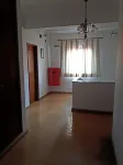 Mira Tejo - Wifi