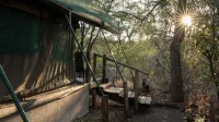 Mashatu Tent Camp - Mashatu Game Reserve