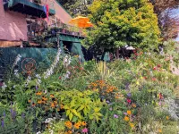 アン アーバー B&B イン ヒル・オーディトリアム周辺のホテル