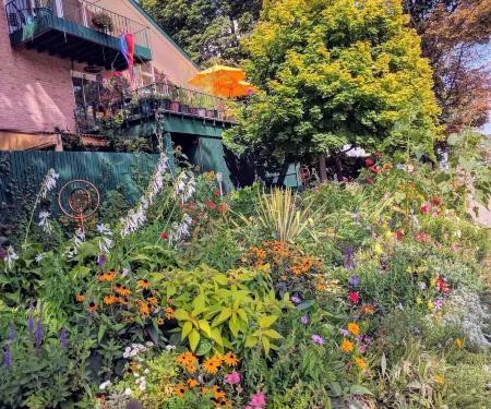 Ann Arbor Bed and Breakfast