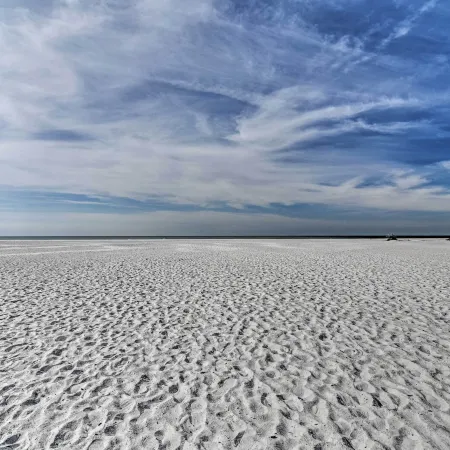 Bright Sarasota Bungalow - 5 Mi to Siesta Beach!
