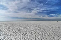 Bright Sarasota Bungalow - 5 Mi to Siesta Beach! - spa