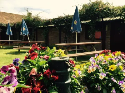 New Inn Hotels in Dowlish Wake