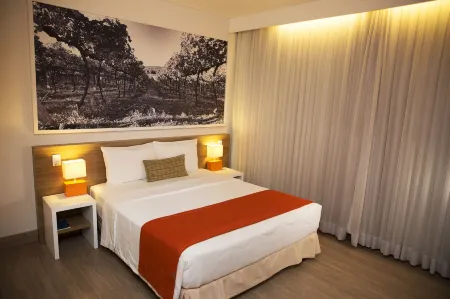 Partner Caxias do Sul