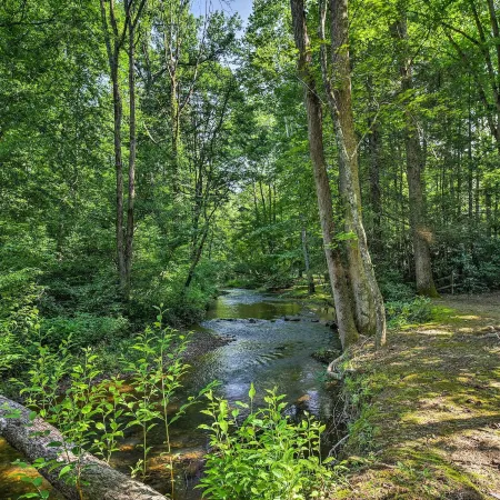 Tellico Plains Cabin - 5 Acres, Backyard Creek!