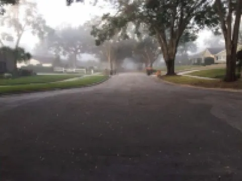 Quiet Oasis in Lovely Neighborhood