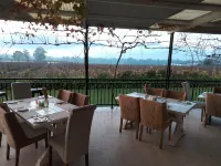 Cana Vineyard Guesthouse فنادق في Cape Winelands