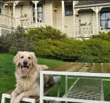 Dennen's Victorian Farmhouse