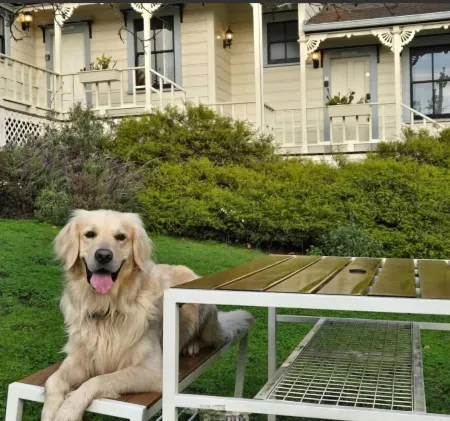 Dennen's Victorian Farmhouse Отели рядом с достопримечательностью «Mendocino Grove»