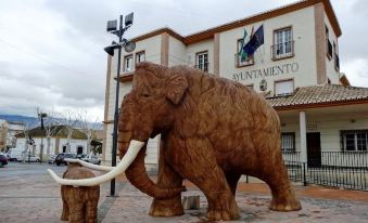 Hostal y Apartamento Rural Los Naranjos