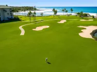 Fairmont Orchid