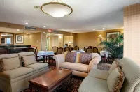 DoubleTree by Hilton Hotel Dallas - Richardson Hotels in Richardson