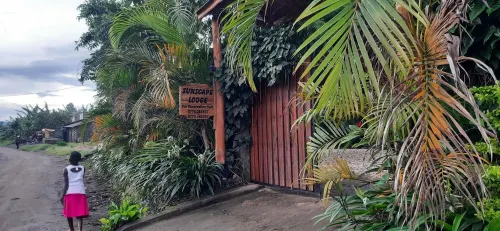 Sunscape lodge - Bars