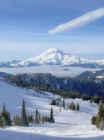 Modern Mountain Haus - 3-bedroom plus loft in fabulous Packwood with WIFI, AC