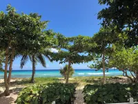 Palm Beach - Tropical Paradise on the Beach