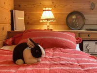 Gemütlich mit Bergblick & Kamin Am Chiemsee Hotels in Übersee