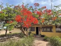 Ecolodge GNILMAN Отели в г. 