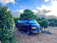Explore Maui with “Good Vibes “ Hotels in Kahului