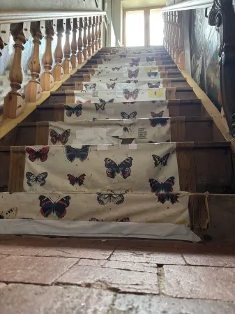 The ideal tranquility to disconnect from the noise.