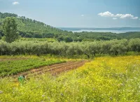 Your Bucolic Holidays at Lake Bracciano, with Friends or Family
