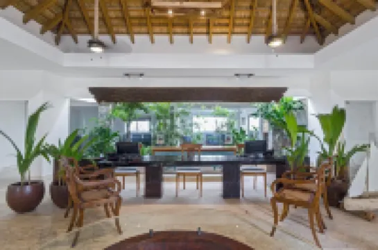Luxury 2-Bedroom Apartment with Private Mini Pool & Backyard in Las Terrenas