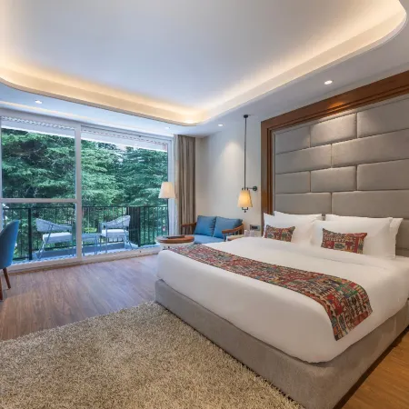 Snow Valley Heights - An Elegant Air Conditioned Escape by Snow Valley Resorts
