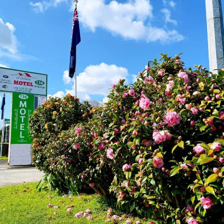 St George Motel Отели рядом с достопримечательностью «Тематический парк Конец Радуги»