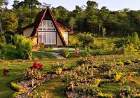 El Resort de Yanashpa - Tarapoto فنادق في 