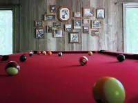 The Treehouse