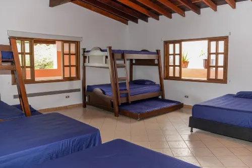 Escape to Nature in Copacabana's Hidden Gem Hôtels à : La Vaca