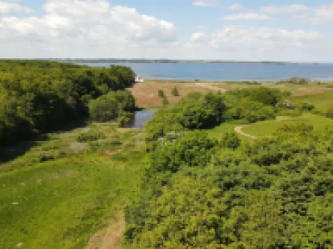 "Rosa" - 300m from the Sea