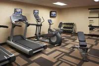 Hilton Garden Inn Addison - Gym