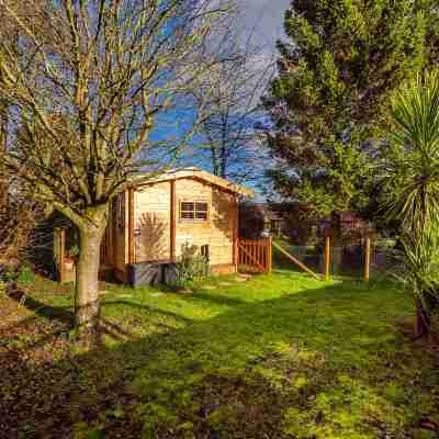 Pet-friendly chalet in Surlingham, No deposit Hotel Exterior