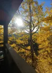 Aspen Leaf Retreat
