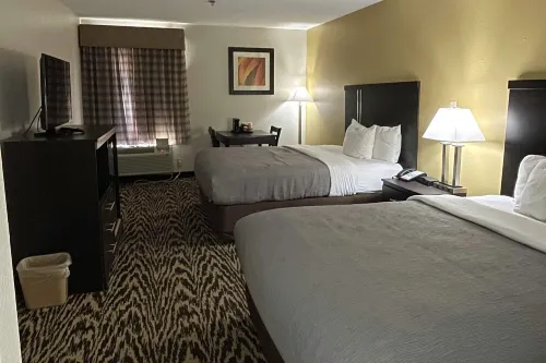 Quality Inn & Suites Clemmons I-40 - Pet friendly