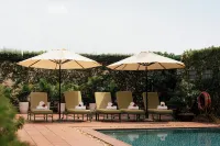 Hai Phong Harbour View Hotel - Havudsigt