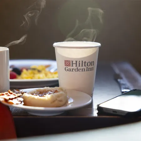 Hilton Garden Inn Albany
