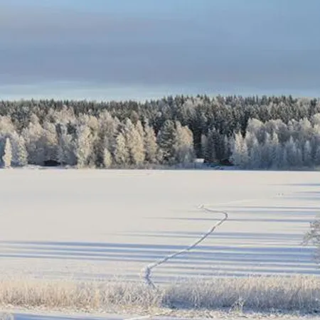 Kopinkallio 3