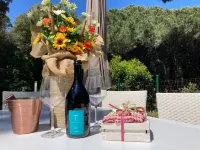 Cozy Villa with Garden Near the Sea - 4 étoiles