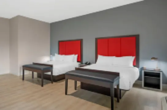 เดอะ เจ โรงแรม ดะนีดิน คลียร์วอเทอร์, แอน แอสเซนด์ คอลเลกชัน โรงแรม