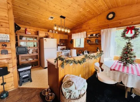 Cozy Boutique Mtn Cabin, Hot Tub, Views, Privacy, Dogs OK, Sleeps 1 to 4 Guests