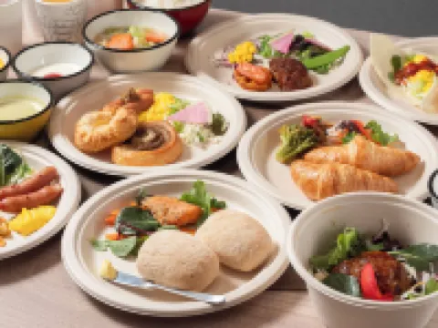 SUPER HOTEL Premier Aso Kumamoto Airport Hotels in Ozu