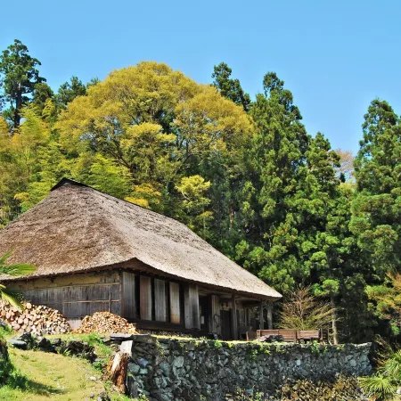 Chiiori