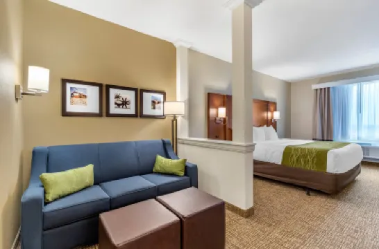 Comfort Suites San Antonio Ft Sam Houston-Sammc Area Hotels in San Antonio