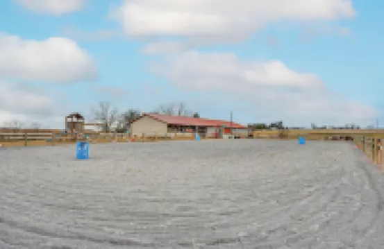 Rural & Historic Detour Escape w/ Horses On-site!