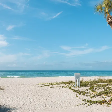 Sea Club I