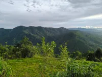 Binsar View Homestay