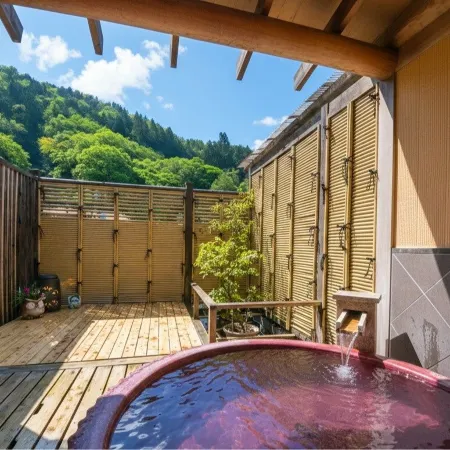 Ryokan New Ougiya